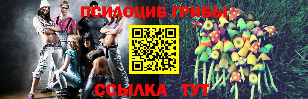 Псилоцибиновые грибы мицелий Кстово