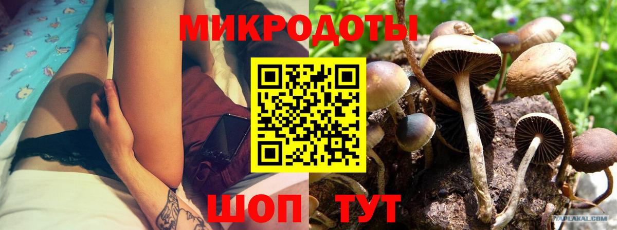 Псилоцибиновые грибы Psilocybe  Вход с VPN  Галлюциногенные грибы мухоморы  Кстово 