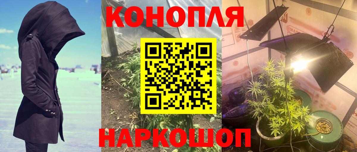 Бошки Шишки VHQ  Бошки Шишки SATIVA & INDICA  Каннабис VHQ  Вход с VPN  Кстово  МАРИХУАНА LSD WEED 